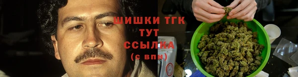 тгк Горно-Алтайск