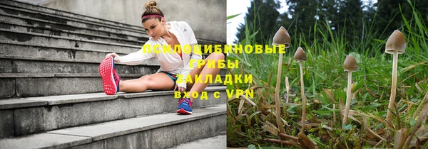 тгк Горно-Алтайск