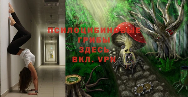 тгк Горно-Алтайск