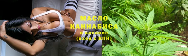 спиды Гусев