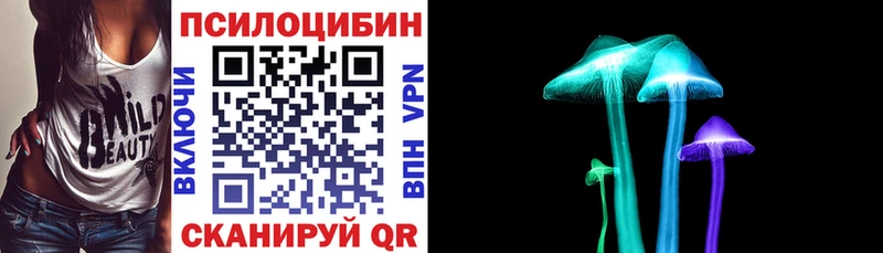 продажа наркотиков  Заволжье  Галлюциногенные грибы GOLDEN TEACHER 